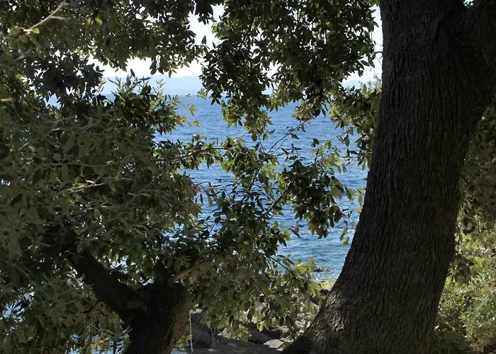 Seaside Secluded Cove Torac, Hvar - 4875 Апартаменты *