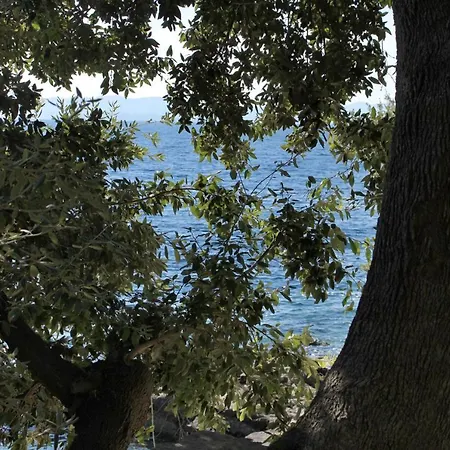 Seaside Secluded Cove Torac, Hvar - 4875 Apartamento *